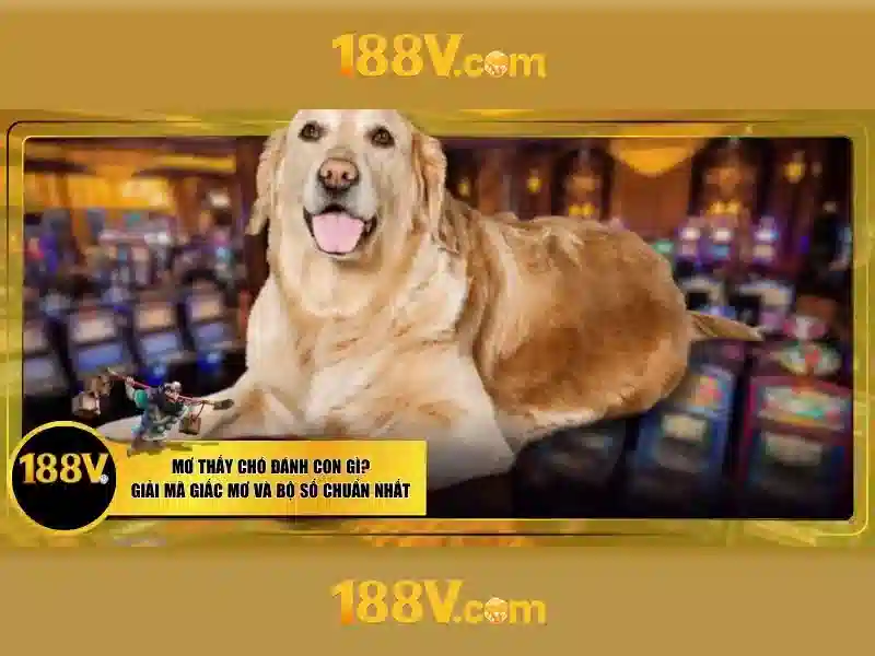 💎lucky 888slot💎 💎lucky 888slot💎