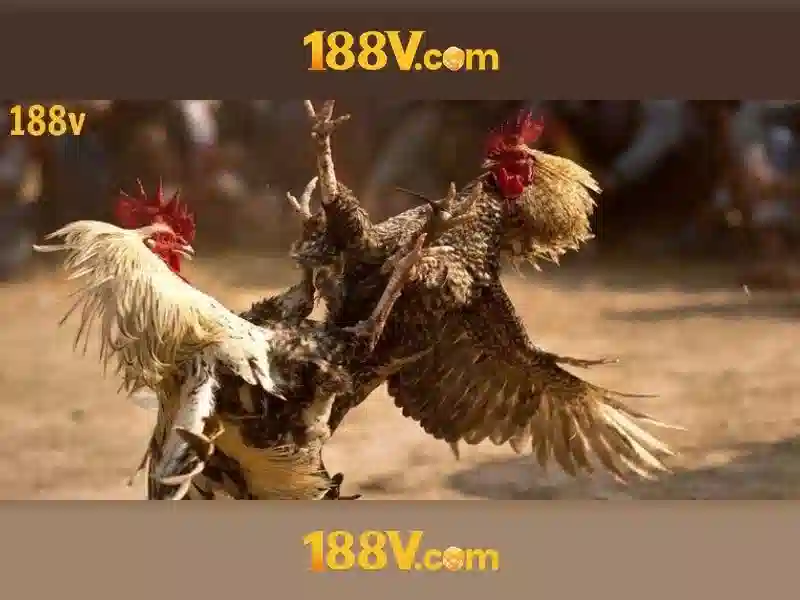 💎rummy by xn88💎 💎rummy by xn88💎