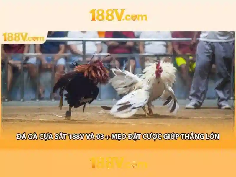 review 188v - 188V review 188v - 188V