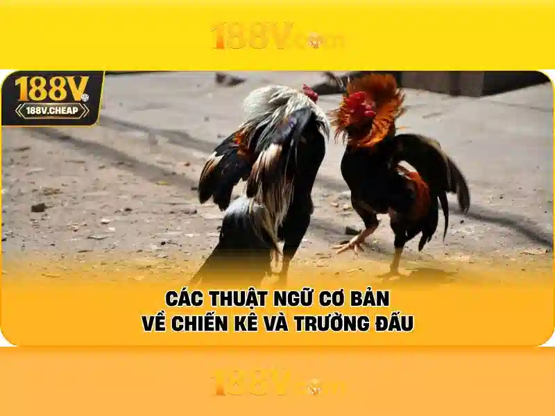 💎dân tộc sống ở vùng tây bắc💎 💎dân tộc sống ở vùng tây bắc💎