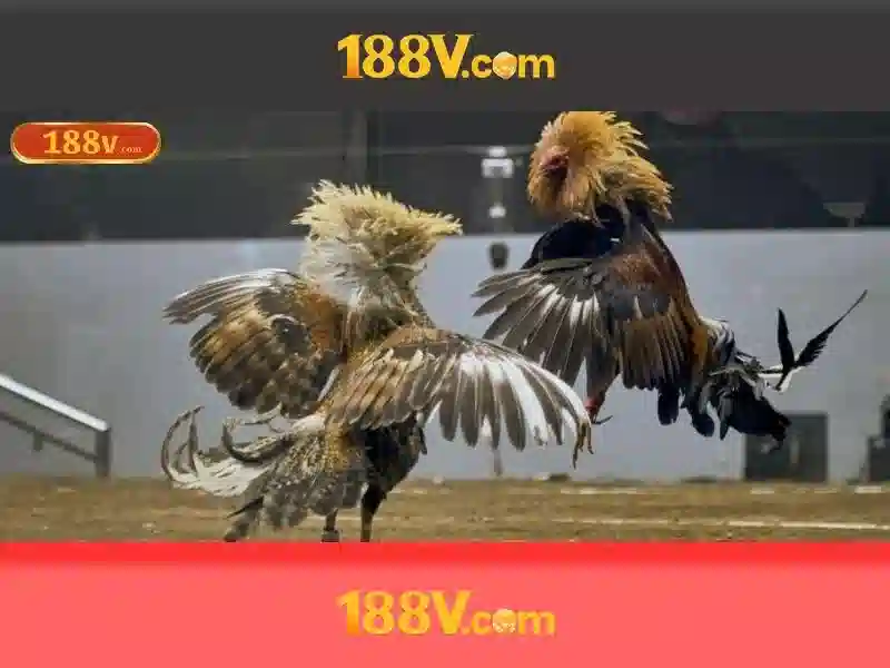 💎ap hb88💎 💎ap hb88💎