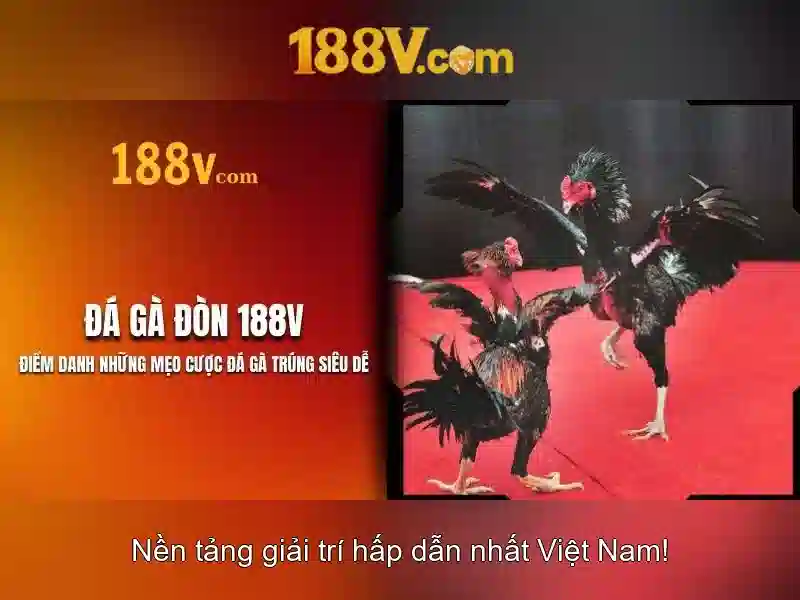 💎astro check if slot is empty💎 💎astro check if slot is empty💎