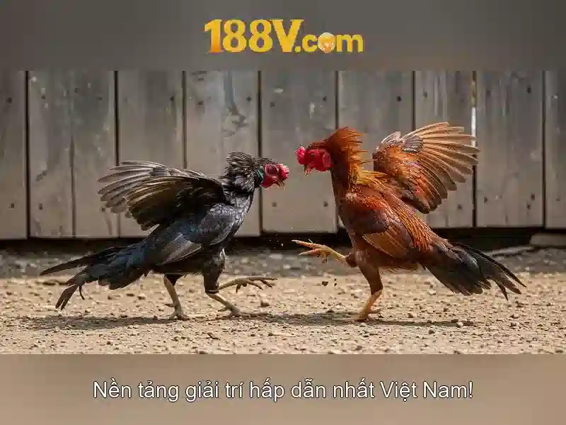 💎laos xn88 bank💎 💎laos xn88 bank💎