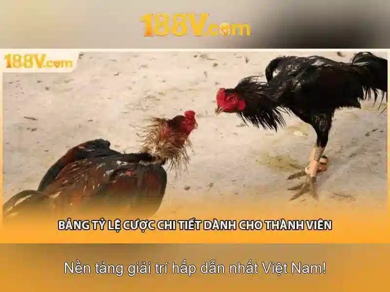 💎bingo carnaval hb88💎 💎bingo carnaval hb88💎