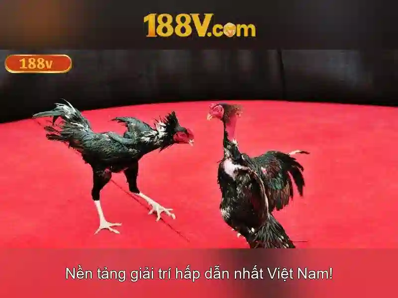 💎cskh 888slot💎 💎cskh 888slot💎