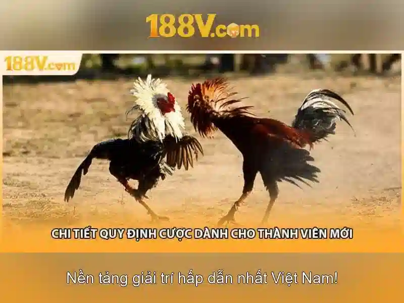 💎hb88 games slot💎 💎hb88 games slot💎